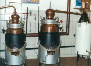 dominique-bonny20