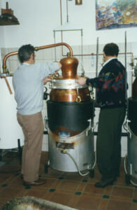 dominique-bonny32